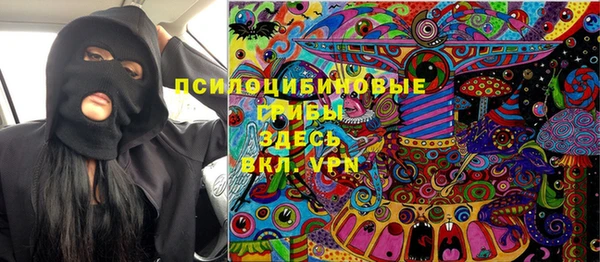 меф Арсеньев